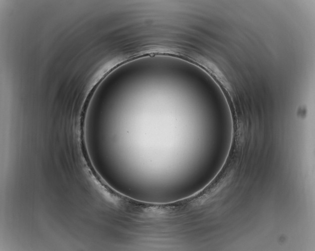 X0000097880898200803141317