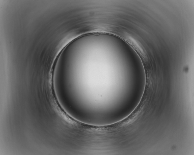X0000097880900200803141317
