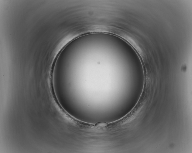 X0000097880901200803141317