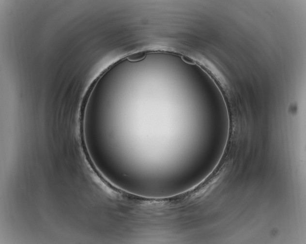 X0000097880902200803141317