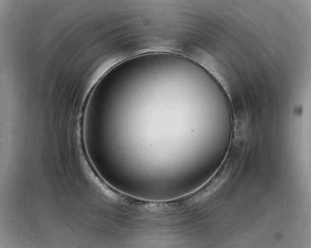 X0000097880906200803141317