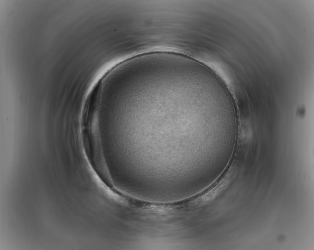 X0000097880910200803141317