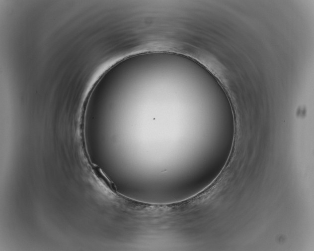 X0000097880912200803141317