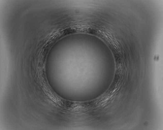 X0000097880913200803141316
