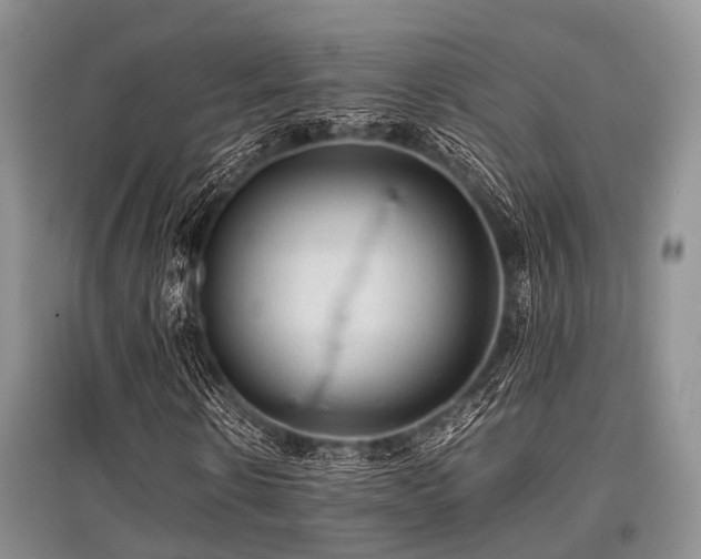 X0000097880914200803141316