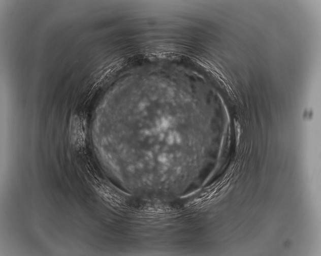 X0000097880915200803141316