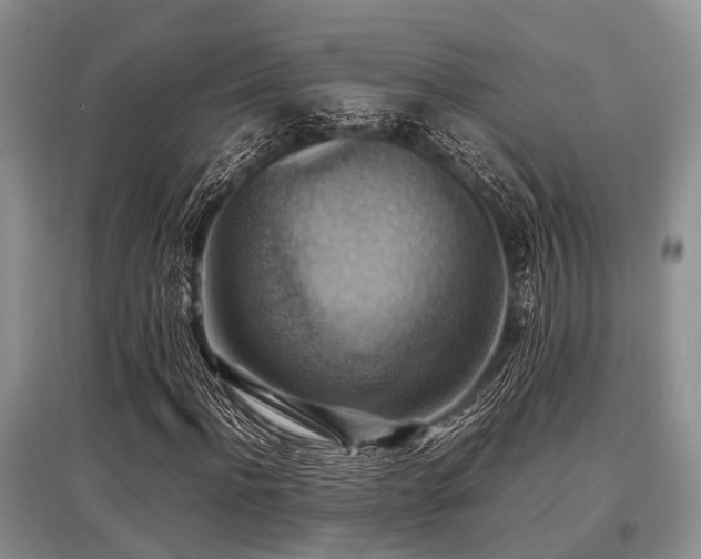 X0000097880916200803141316