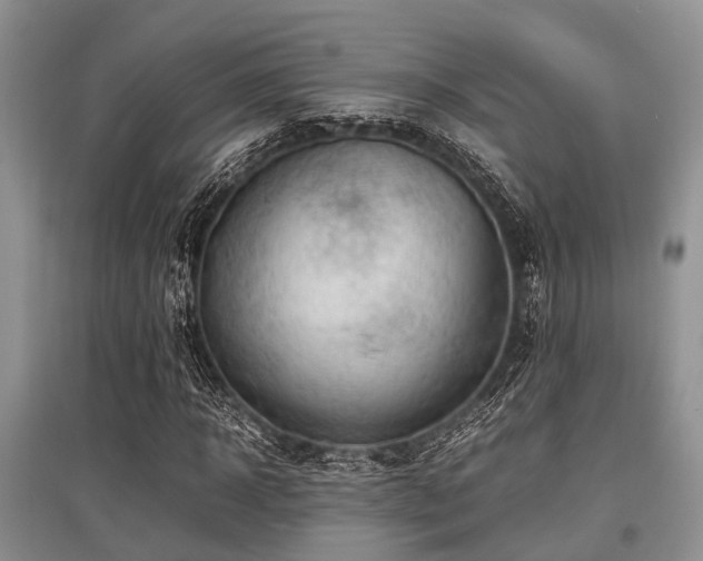 X0000097880918200803141316