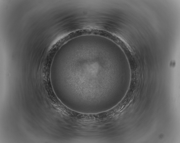 X0000097880919200803141316