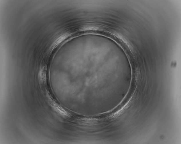 X0000097880921200803141316
