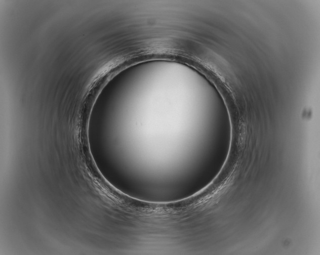 X0000097880922200803141316