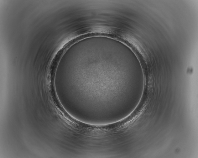 X0000097880923200803141316