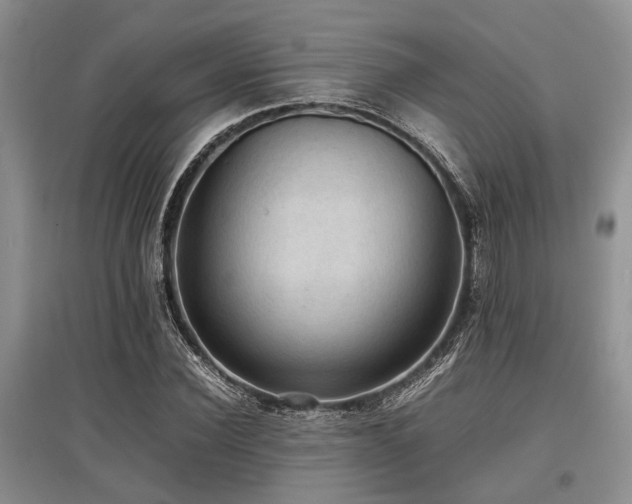 X0000097880924200803141316