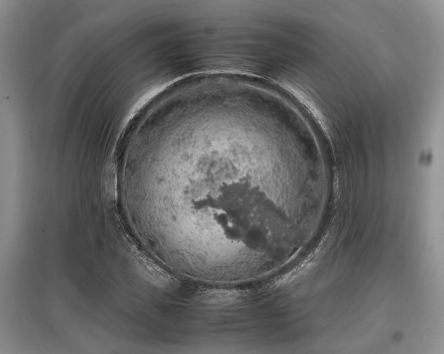 X0000097880925200803141316