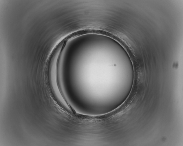 X0000097880926200803141317