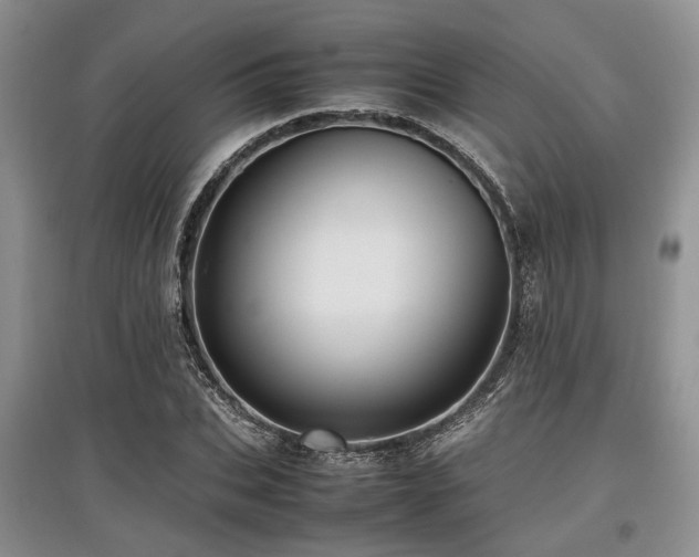 X0000097880927200803141317