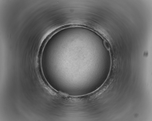 X0000097880928200803141317