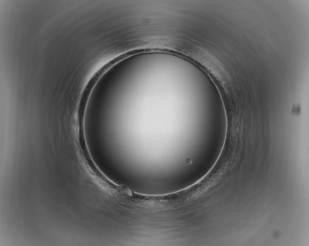X0000097880936200803141317