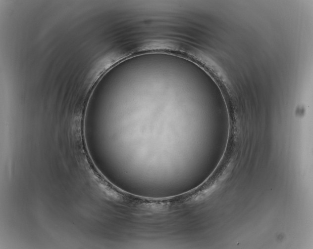 X0000097880937200803141317