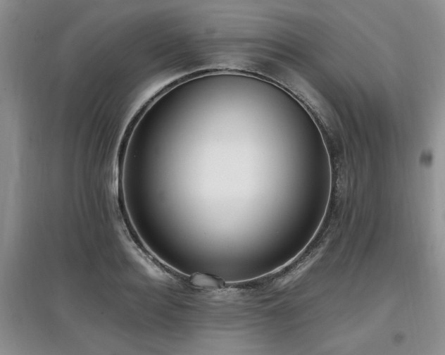 X0000097880940200803141317