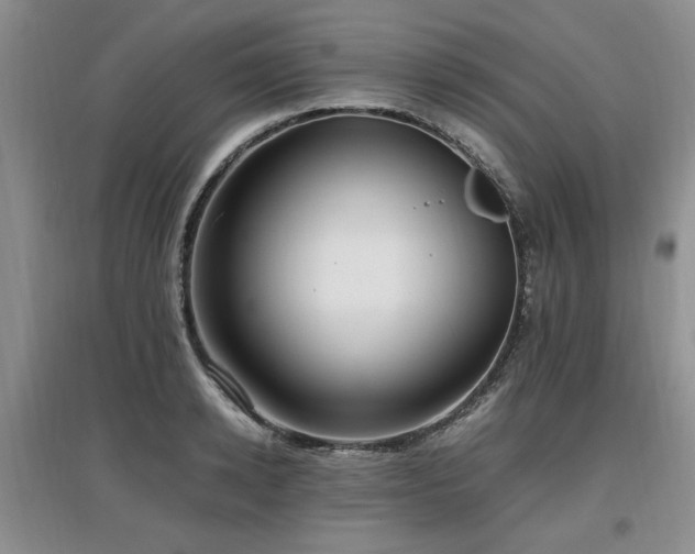 X0000097880942200803141317