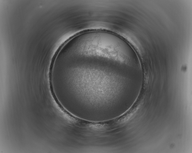 X0000097880943200803141317