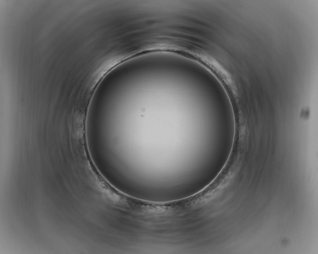 X0000097880945200803141317