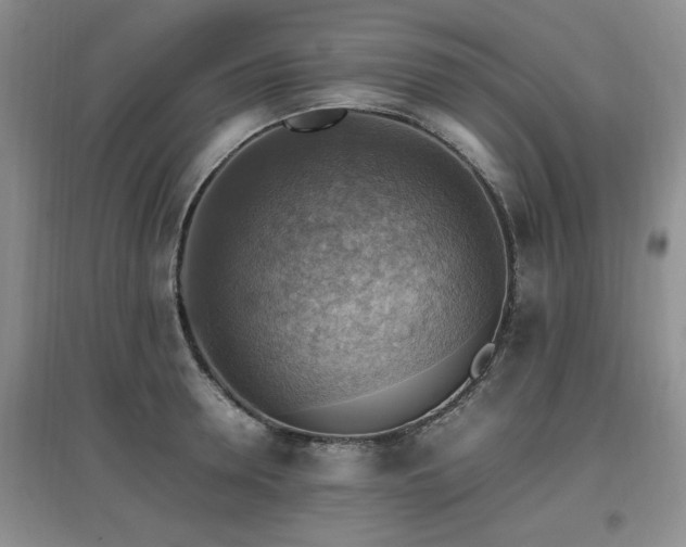 X0000097880946200803141317