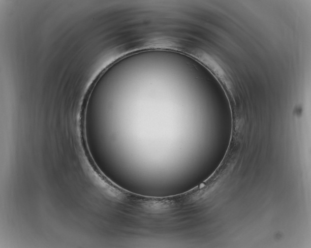 X0000097880947200803141317