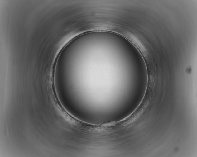 X0000097880948200803141317