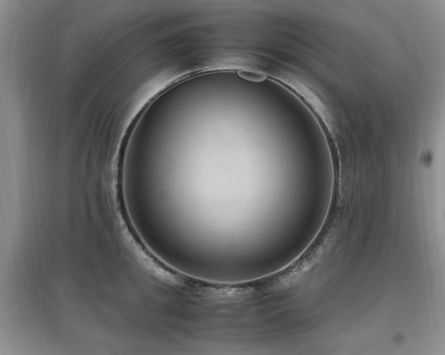 X0000097880949200803141317