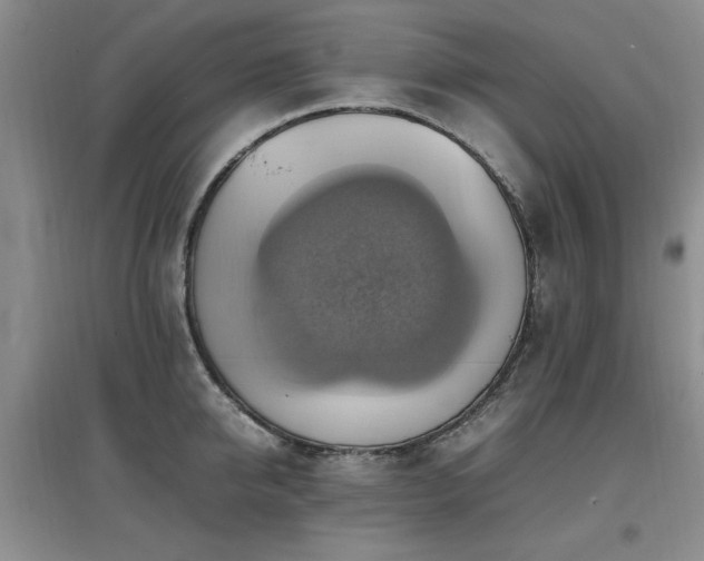 X0000097880950200803141317