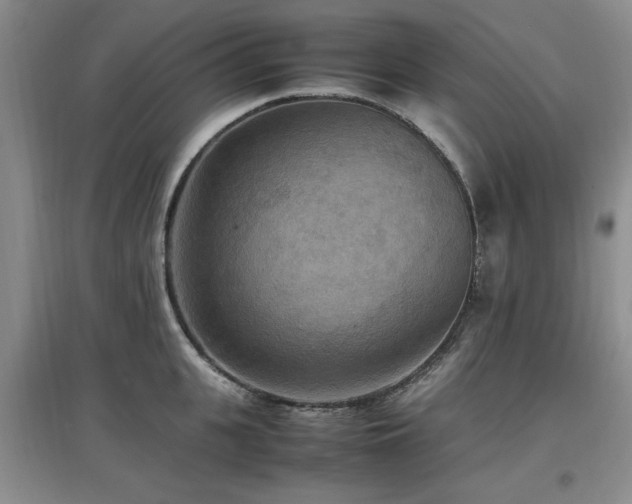X0000097880951200803141317