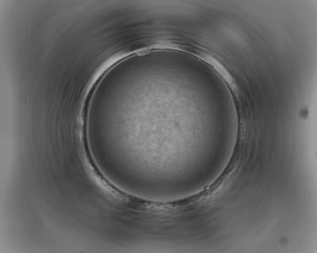 X0000097880955200803141317
