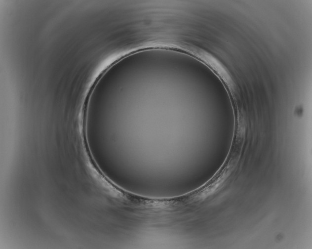 X0000097880958200803141317