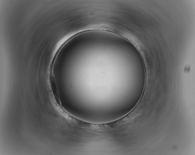 X0000097880960200803141317