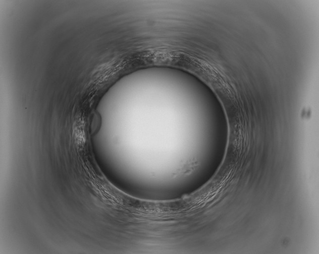 X0000097880962200803141316