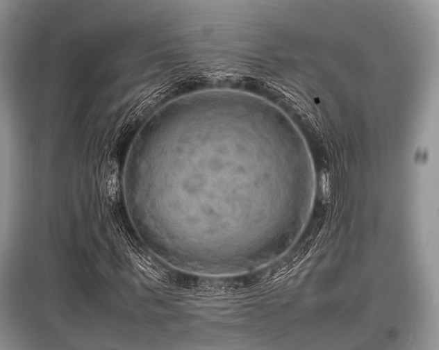 X0000097880963200803141316