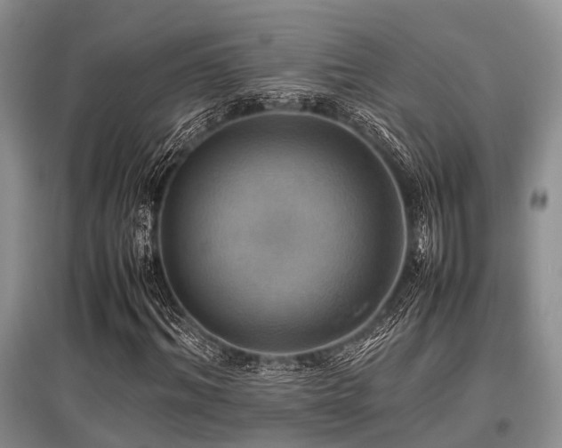 X0000097880964200803141316