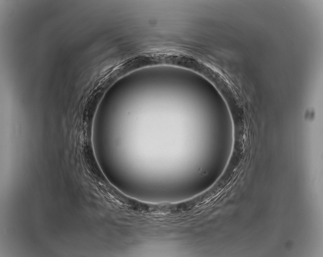 X0000097880965200803141316