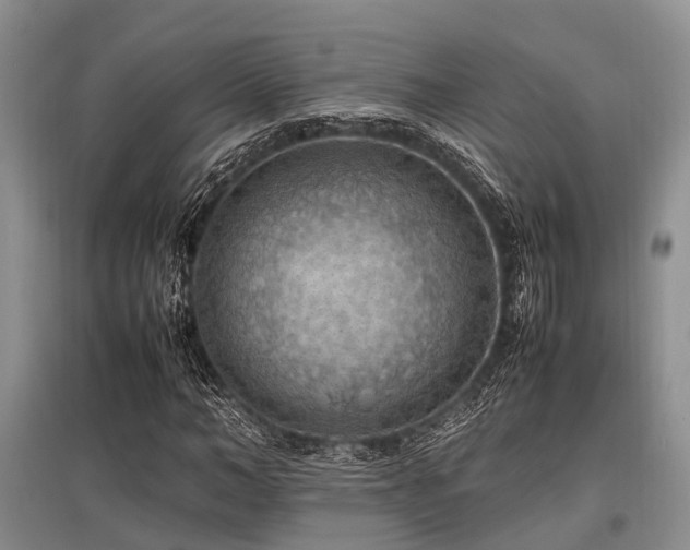 X0000097880966200803141316