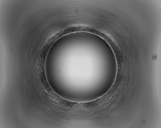 X0000097880967200803141316
