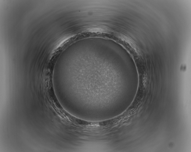 X0000097880968200803141316