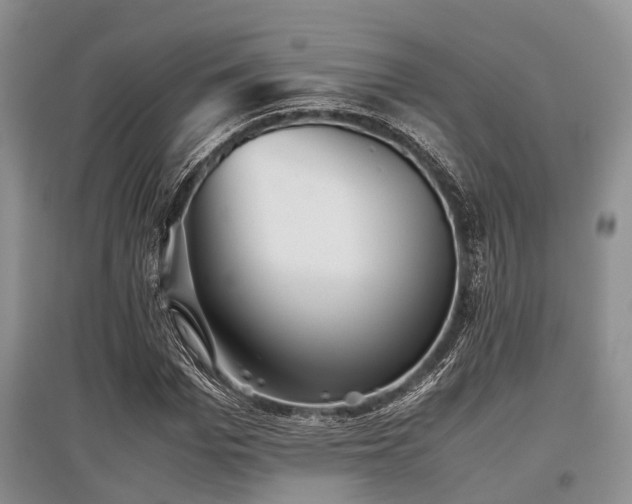 X0000097880969200803141316