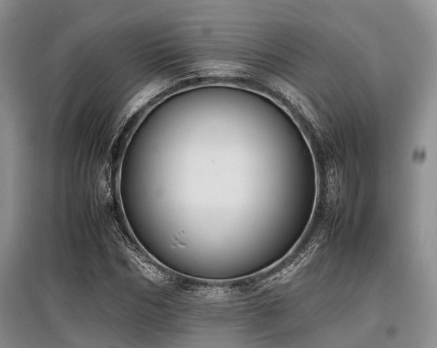 X0000097880970200803141316