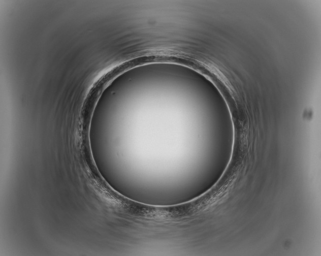 X0000097880971200803141316