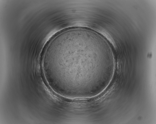 X0000097880972200803141316