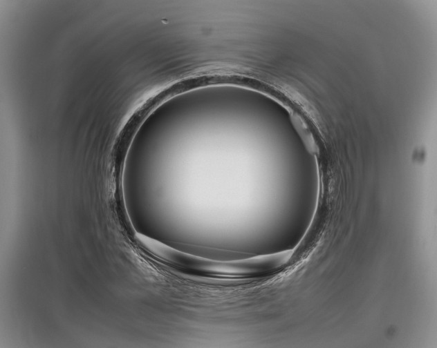 X0000097880973200803141316