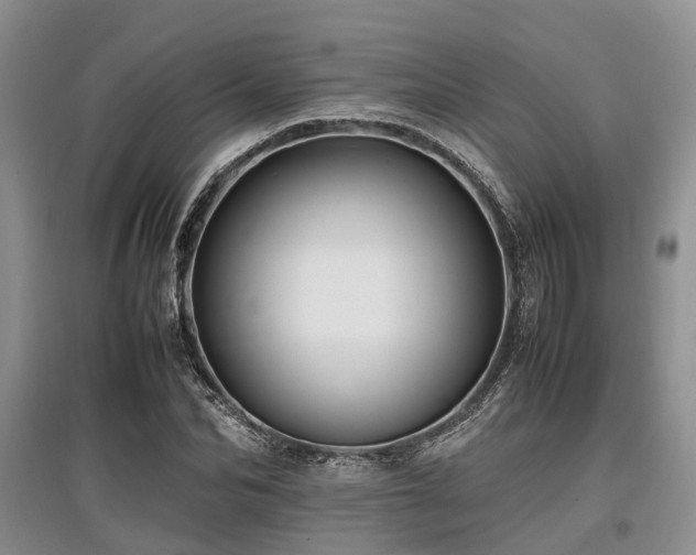 X0000097880974200803141316