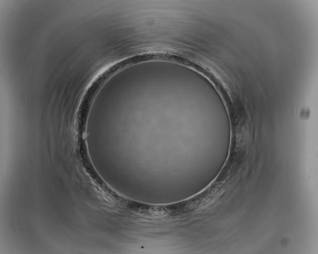 X0000097880975200803141316